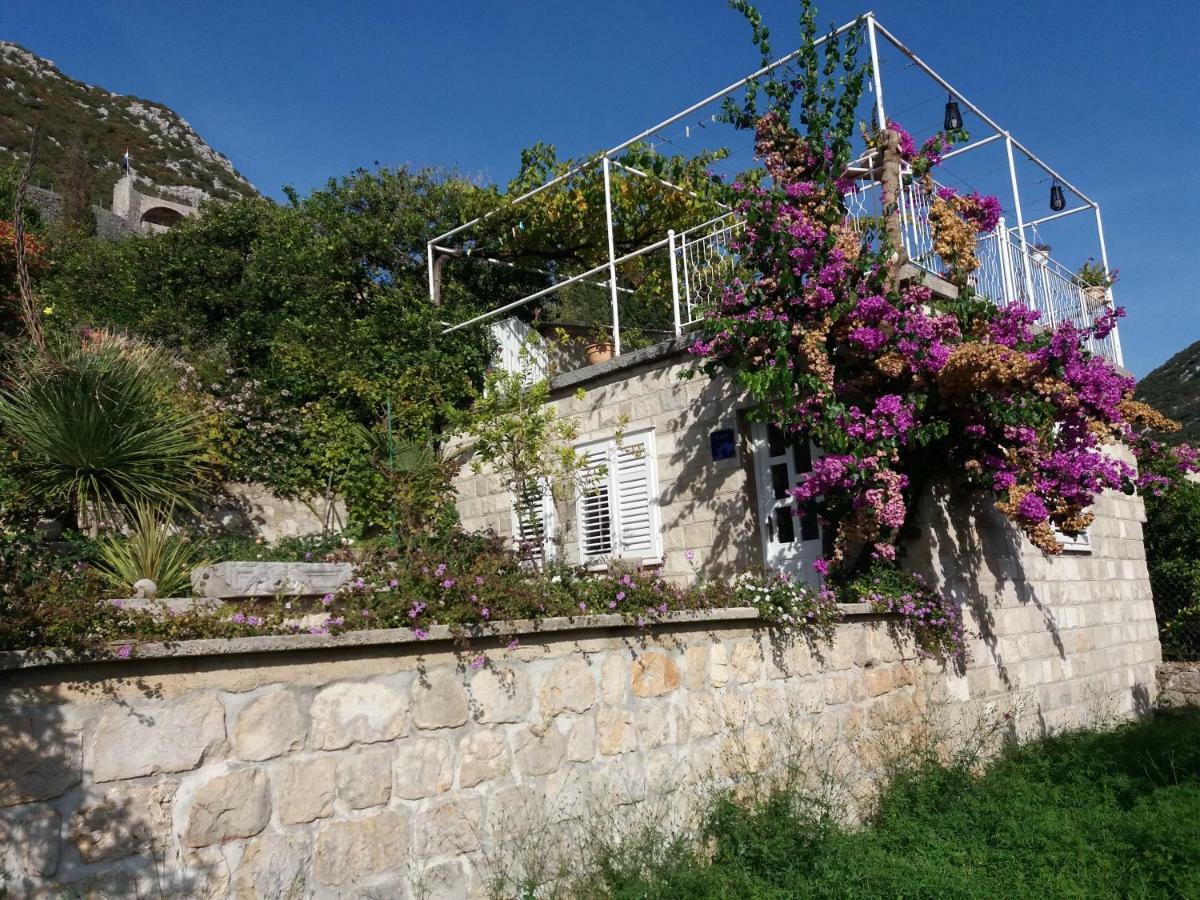 Apartman Matic Ston Exterior photo